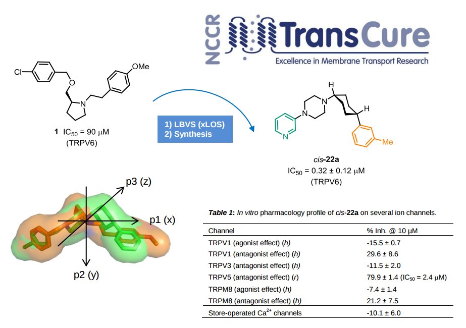 Discovery of a selective inhibitor of TRPV6 using the 3D-shape and pharmacophore similarity function xLOS