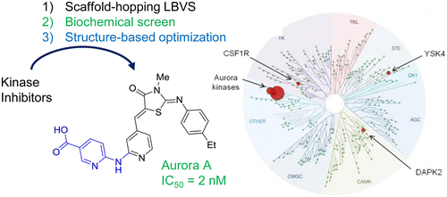 Discovery of a Selective Aurora A Kinase Inhibitor by Virtual Screening