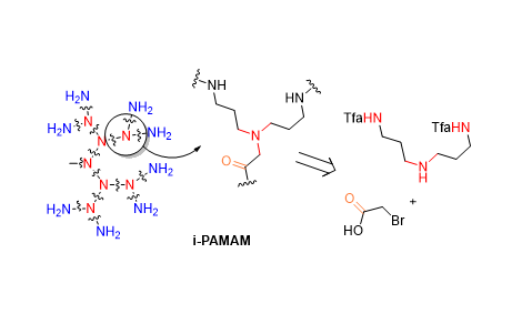 Submonomer Synthesis of Inverse  Polyamidoamine (i-PAMAM) Dendrimer Antibacterials