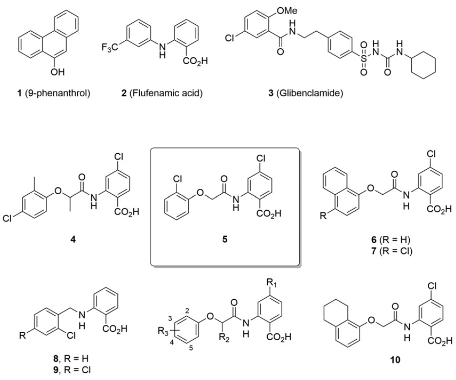 Identification of potent and selective small molecule inhibitors of the ...