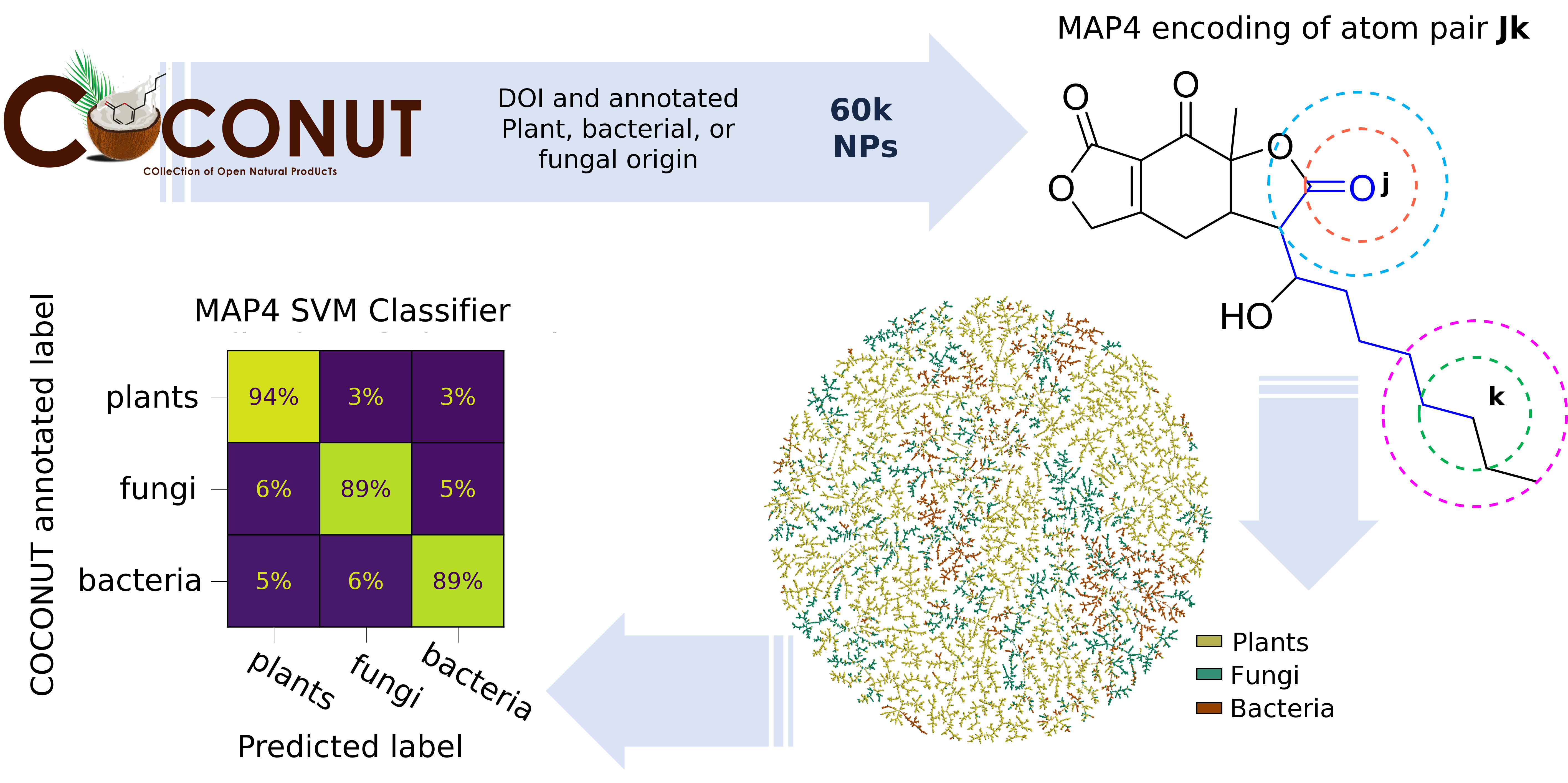 Coconut Classification Sensor Classifying natural products from plants, fungi or bacteria using the ...