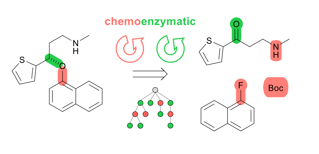 Chemoenzymatic Multistep Retrosynthesis with Transformer Loops