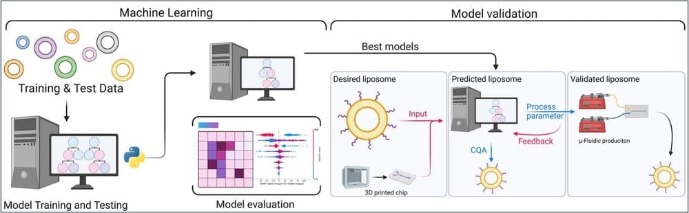 Graphical abstract GA-2