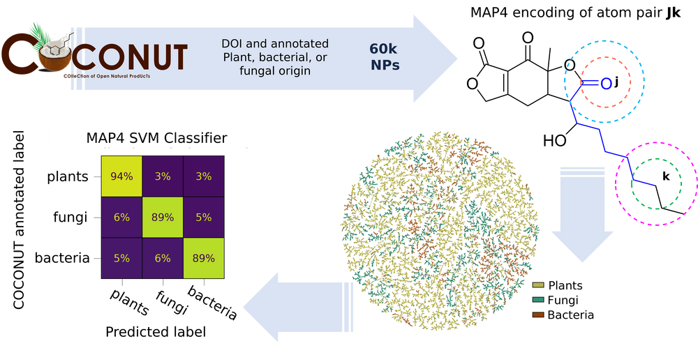 Graphical abstract NEWga