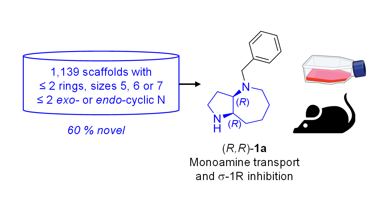 Exploring Simple Drug Scaffolds from the Generated Database Chemical Space Reveals a Chiral Bicyclic Azepane with Potent Neuropharmacology