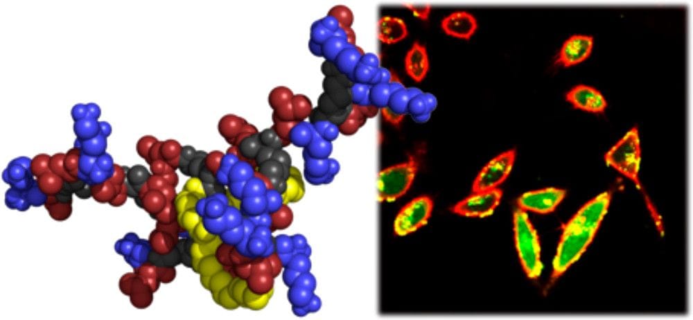 Figure from bc9b00403 publication