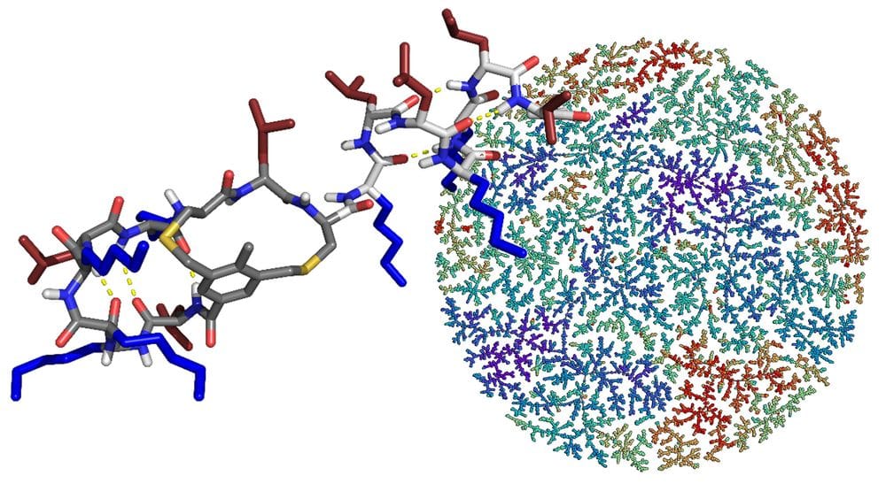 Peptide chemical space visualization
