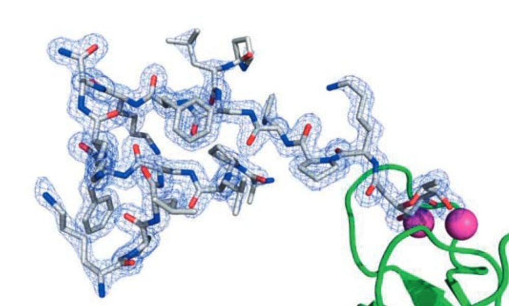 Peptide dendrimer CHIMIA review image