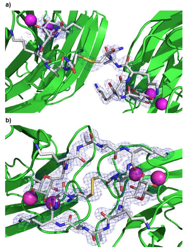 X-ray crystallography 2019 image