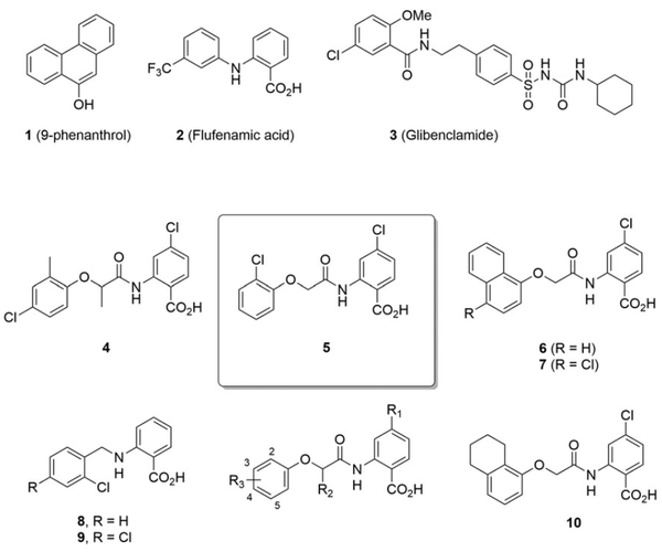 Identification of potent and selective small molecule inhibitors of the cation channel TRPM4