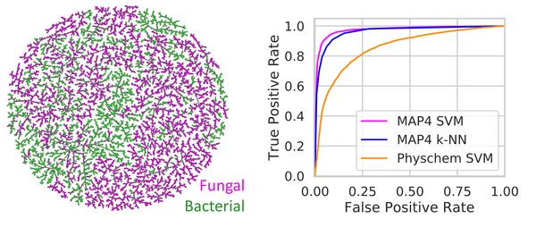 Assigning the Origin of Microbial Natural Products by Chemical Space Map and Machine Learning