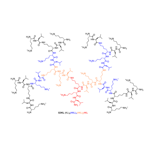 Synergistic Effect of Propidium Iodide and Small Molecule Antibiotics with the Antimicrobial Peptide Dendrimer G3KL against Gram-Negative Bacteria