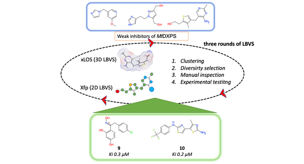 Discovery of novel drug-like antitubercular hits targeting the MEP pathway enzyme DXPS by strategic application of ligand-based virtual screening
