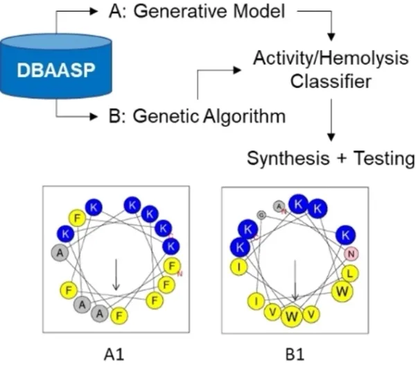 Machine Learning Guided Discovery of Non-Hemolytic Membrane Disruptive Anticancer Peptides