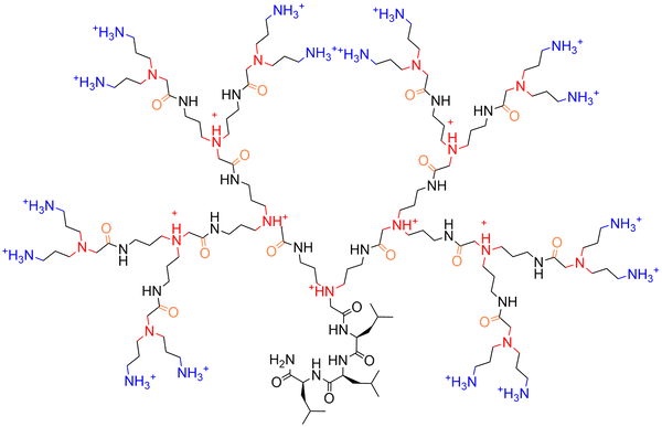 Inverse Polyamidoamine (i-PAMAM) Dendrimer Antimicrobials