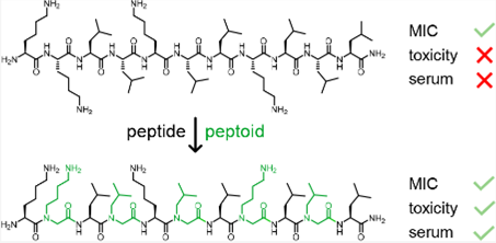 Antimicrobial Peptide–Peptoid Hybrids with and without Membrane Disruption