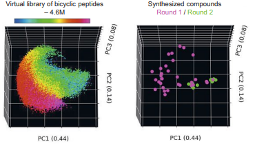 Chemical Space for Peptide-based Antimicrobials