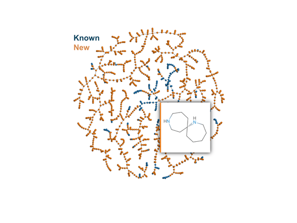 Spirocyclic Diamine Scaffolds for Medicinal Chemistry